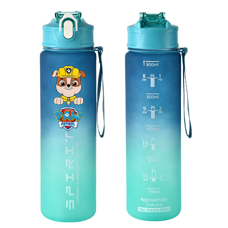 800 ml PAW Patrol Sportwasserf – Kids Outdoor Movies Bewertung und Preis