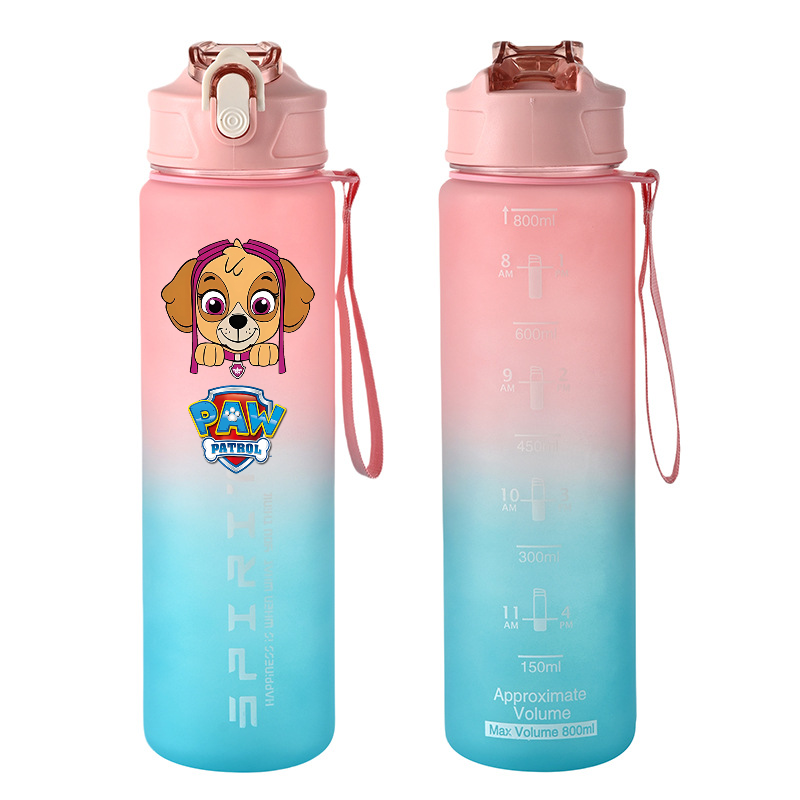 800 ml PAW Patrol Sportwasserf – Kids Outdoor Movies Bewertung und Preis