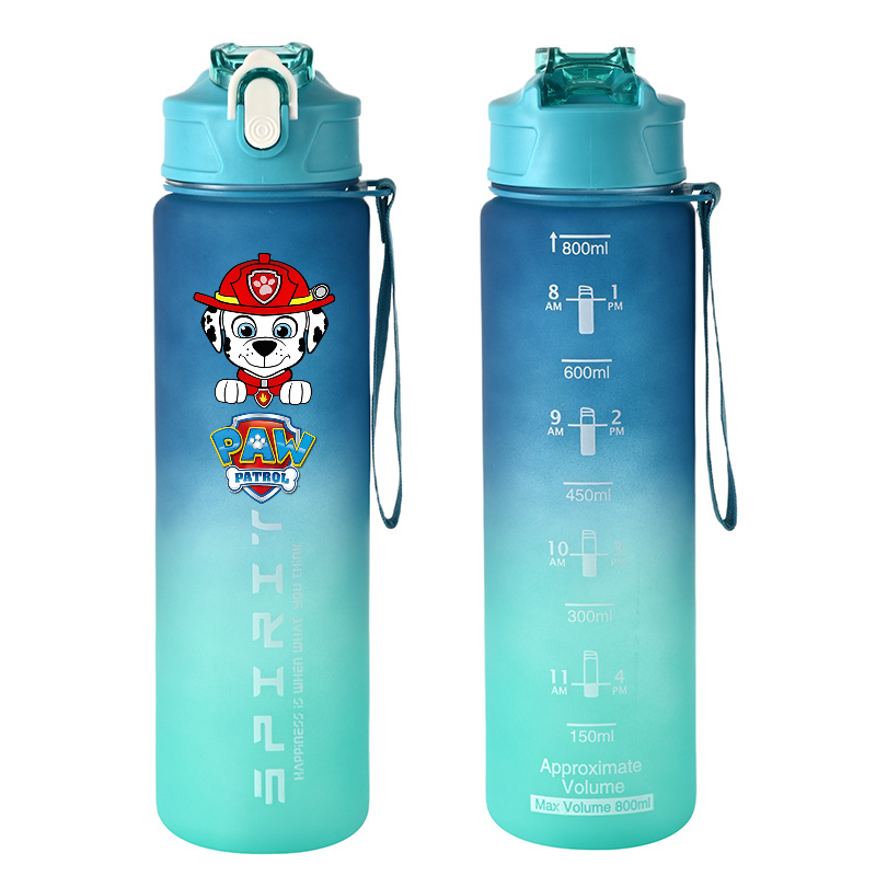 800 ml PAW Patrol Sportwasserf – Kids Outdoor Movies Bewertung und Preis